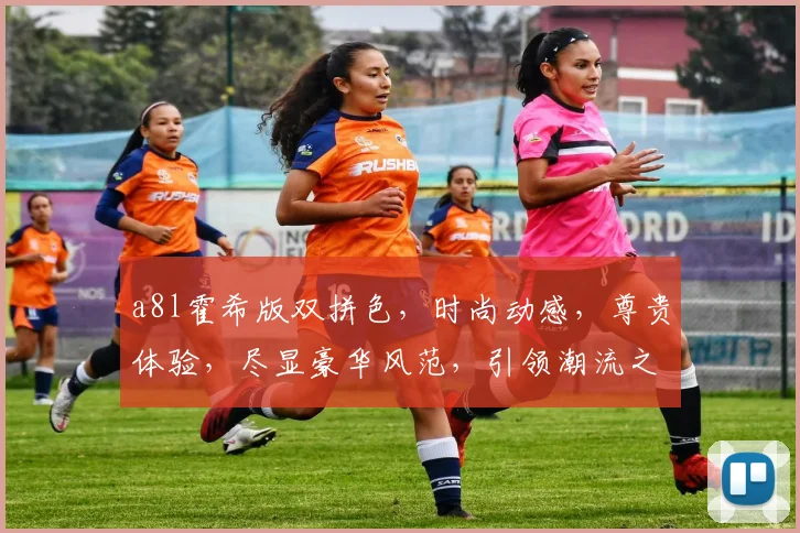 a8l霍希版双拼色，时尚动感，尊贵体验，尽显豪华风范，引领潮流之选，不容错过