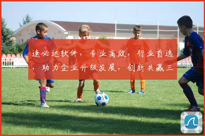 速必达软件，专业高效，行业首选，助力企业升级发展，创新共赢三步走